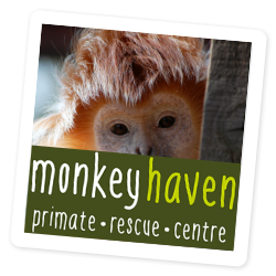 Owl and Monkey Haven on the Isle of Wight